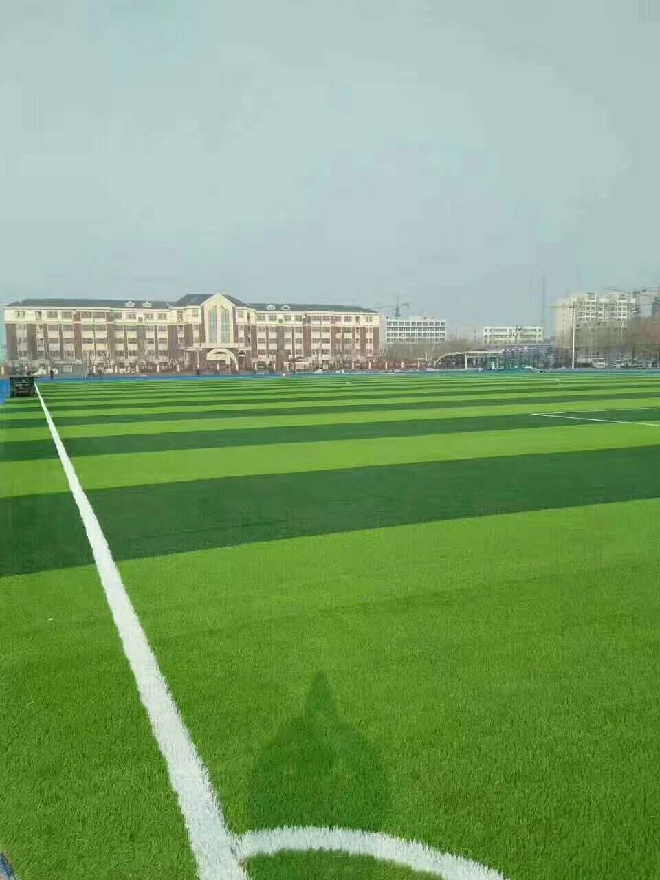 长沙市透气型塑胶跑道仿真草坪 - 价格
